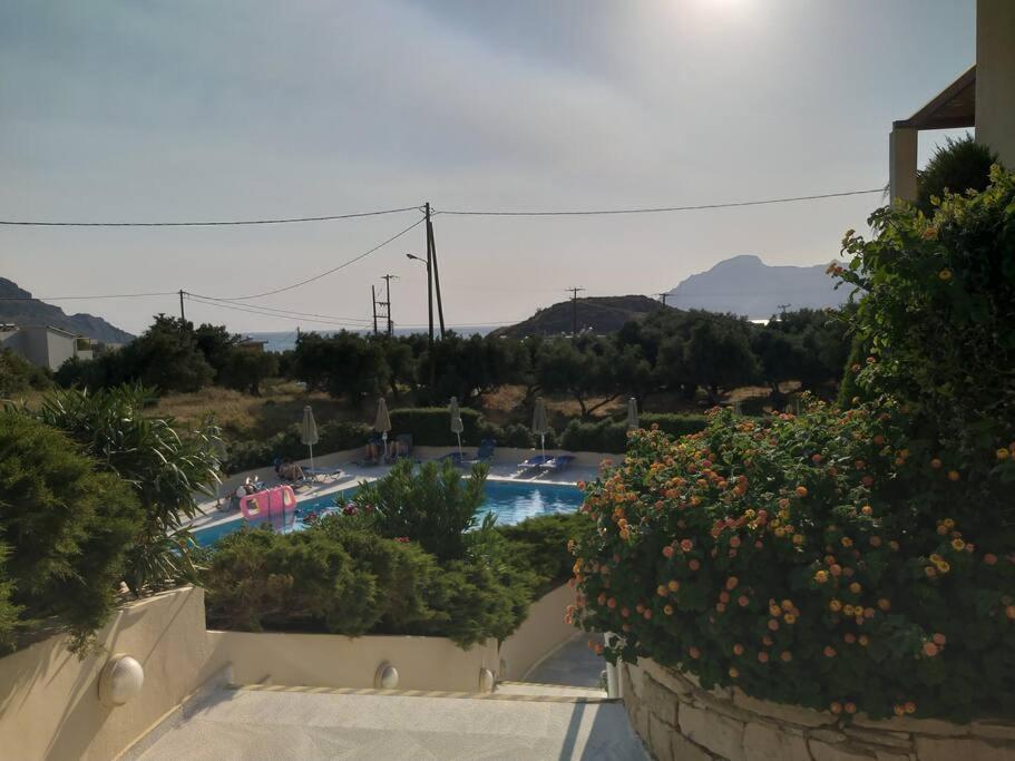 One Bedroom With Pool Apartment